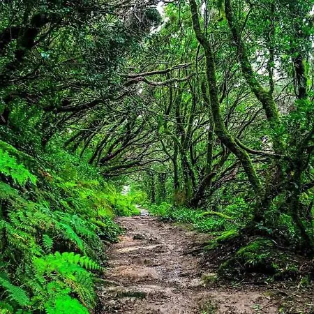 Cosy Twin Beds El Galeon Ξενοδοχείο
