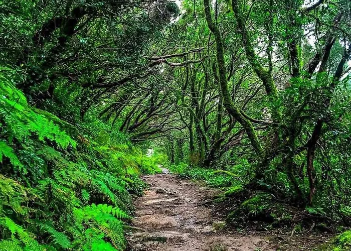 Cosy Twin Beds El Galeon Hotel